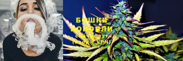 сатива Покров