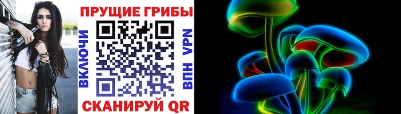 Псилоцибиновые грибы GOLDEN TEACHER  дарнет шоп  Алатырь 